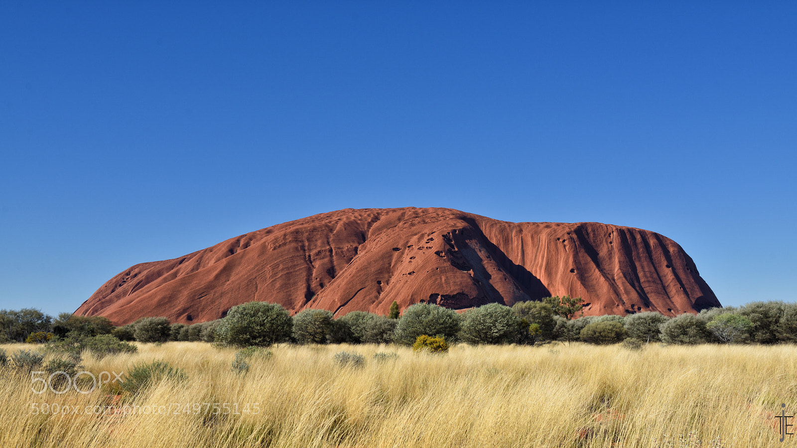 Nikon D810 sample photo. Australia photography