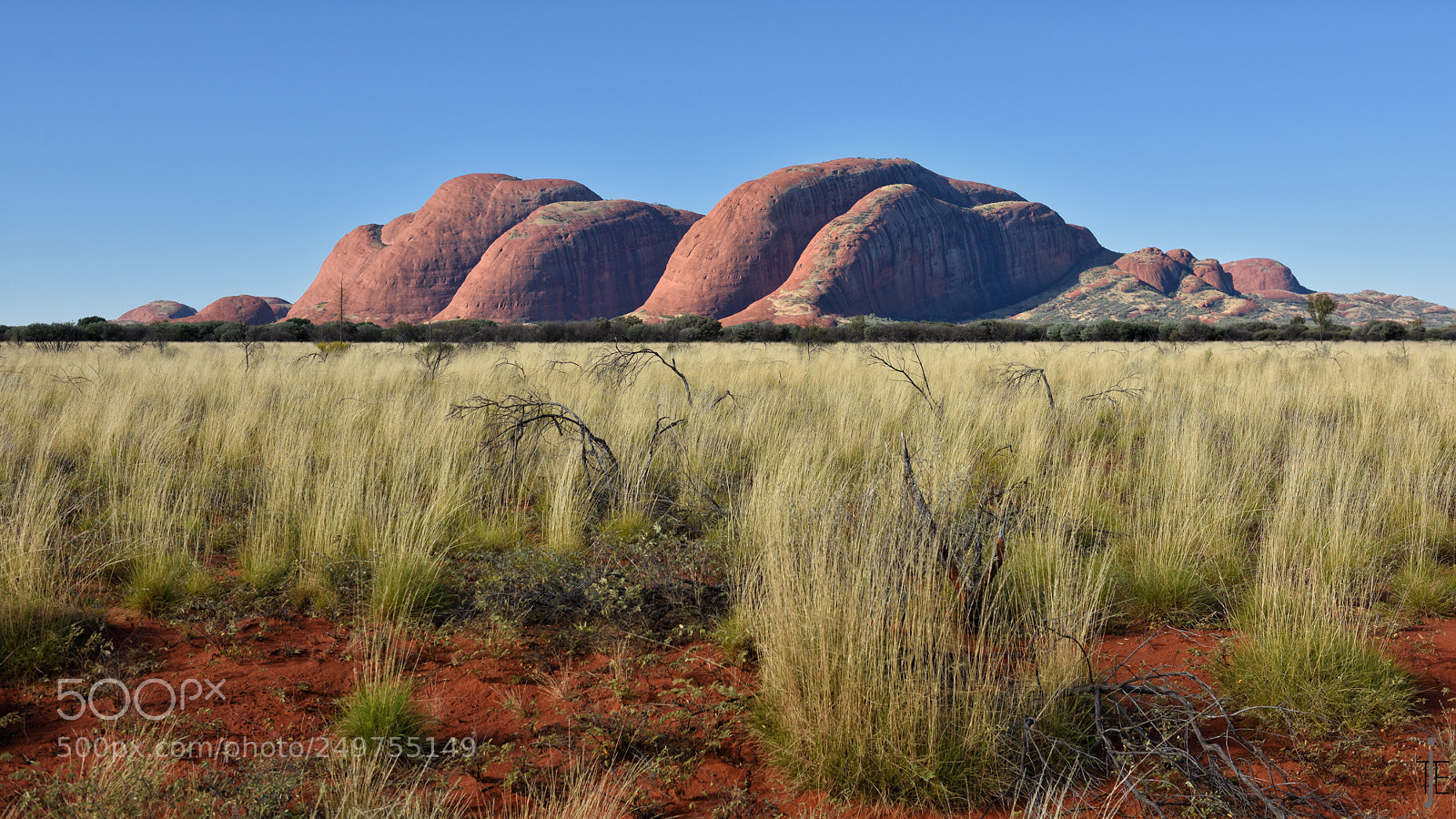 Nikon D810 sample photo. Australia photography