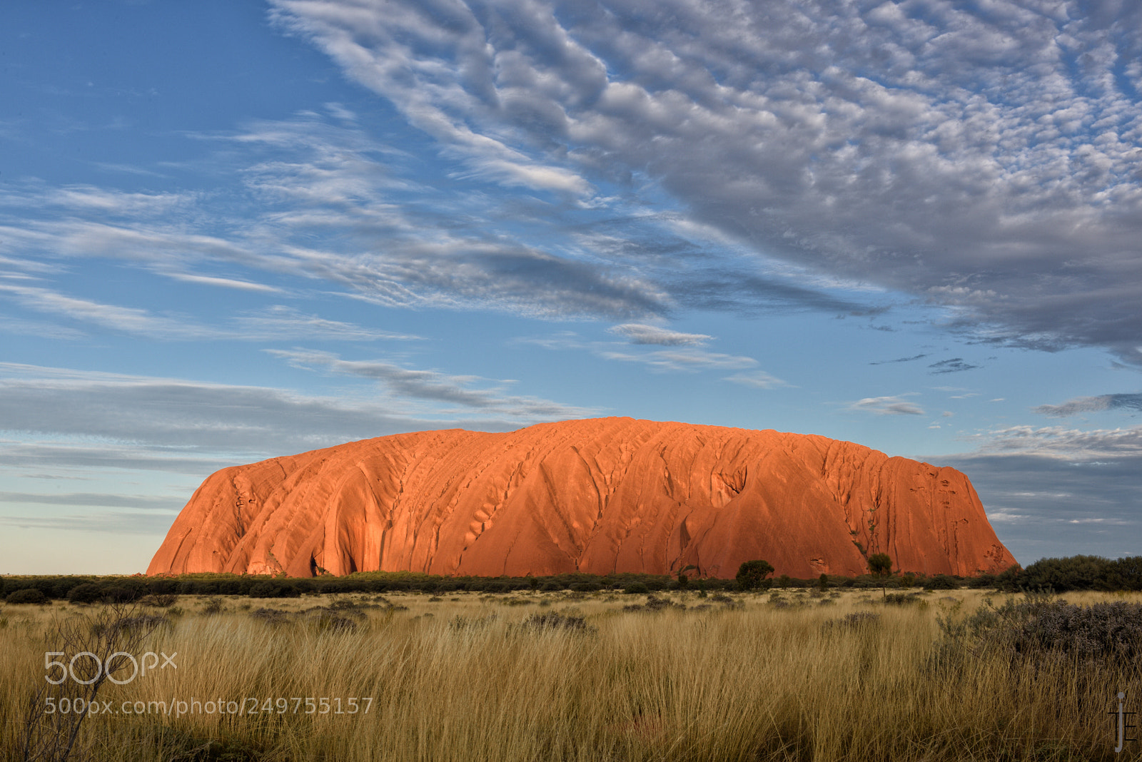 Nikon D810 sample photo. Australia photography