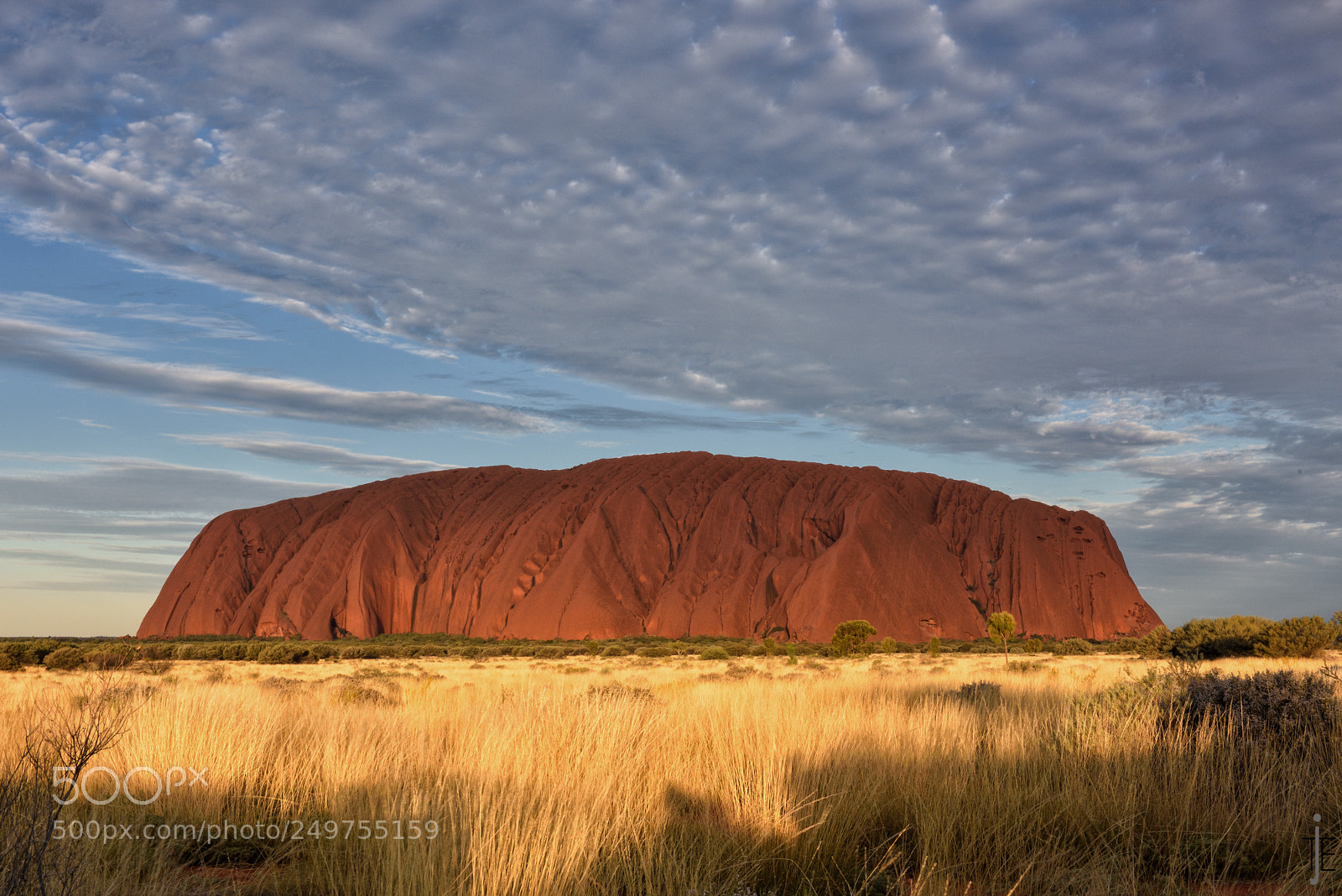 Nikon D810 sample photo. Australia photography
