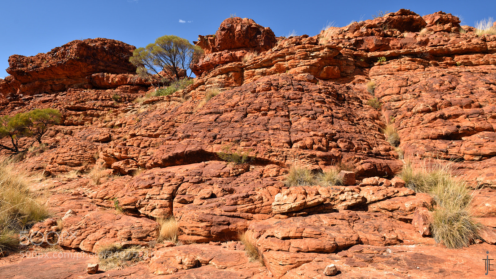 Nikon D810 sample photo. Australia photography
