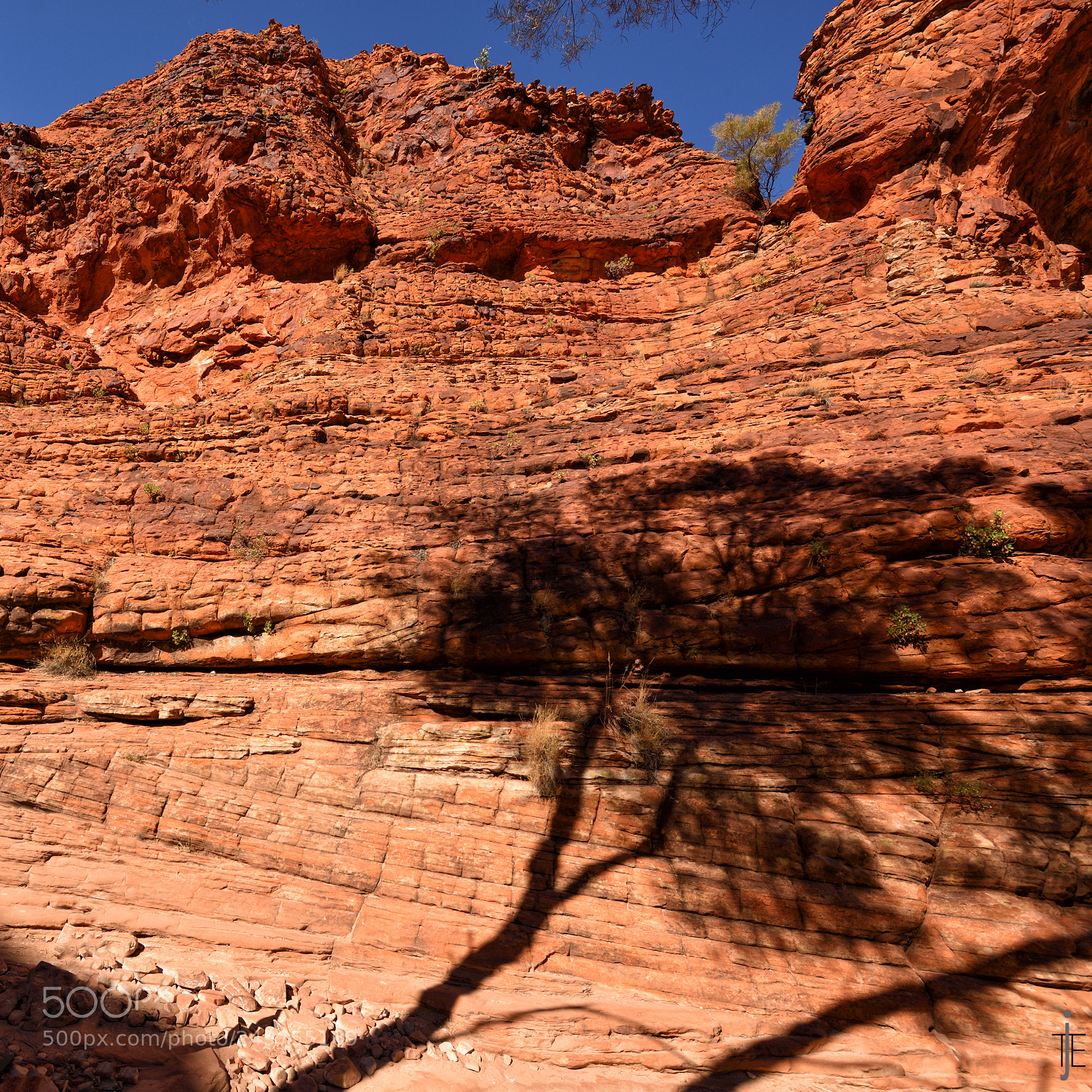 Nikon D810 sample photo. Australia photography