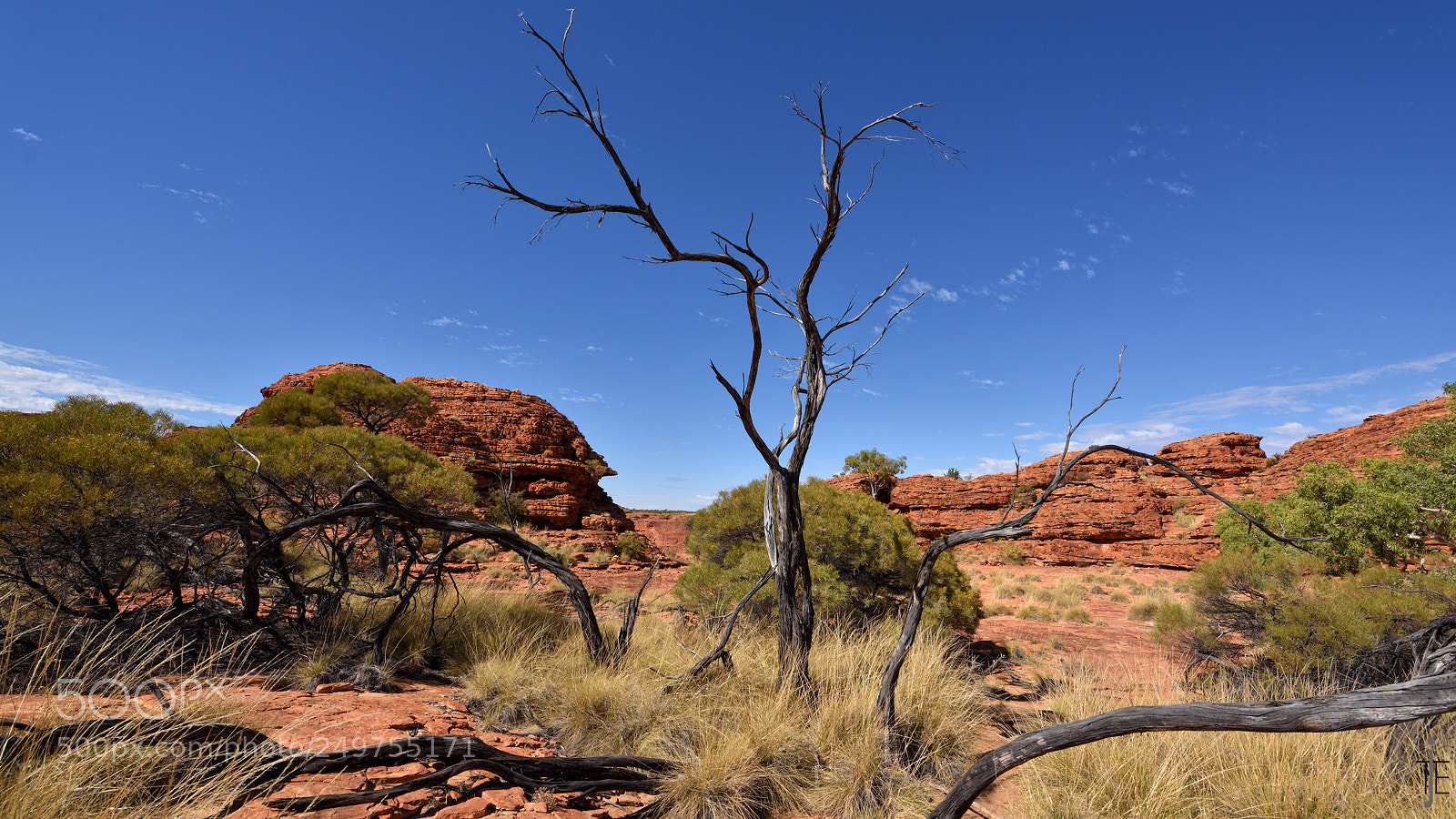 Nikon D810 sample photo. Australia photography