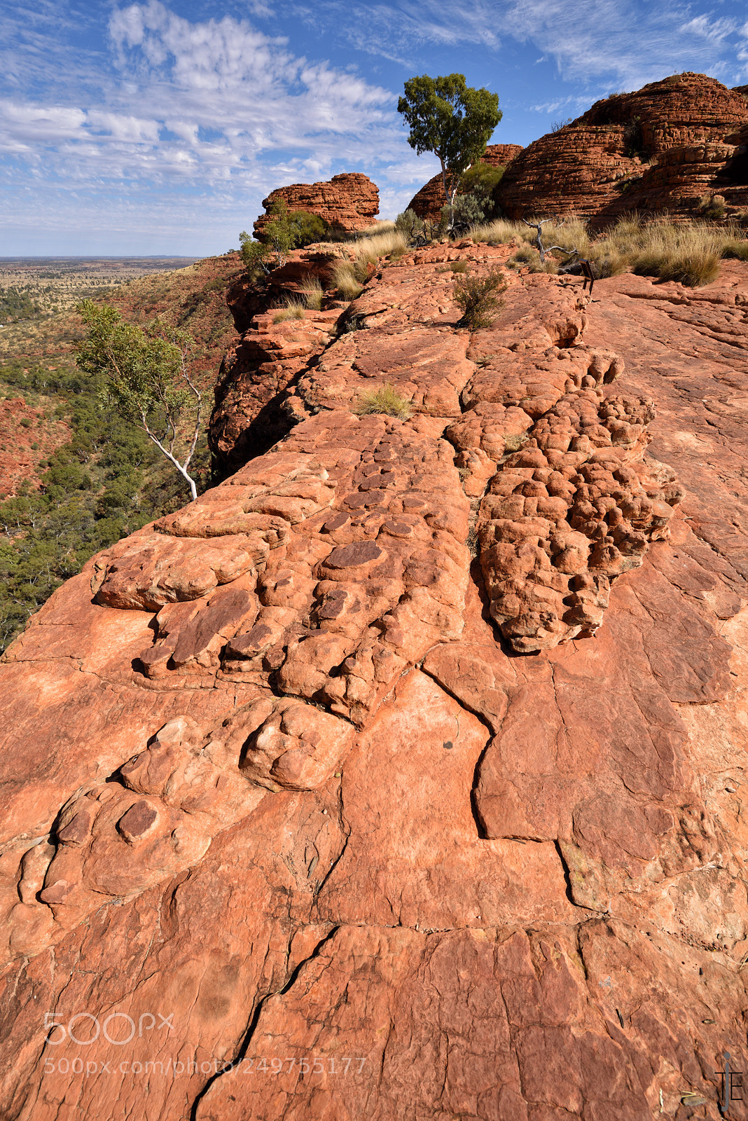 Nikon D810 sample photo. Australia photography