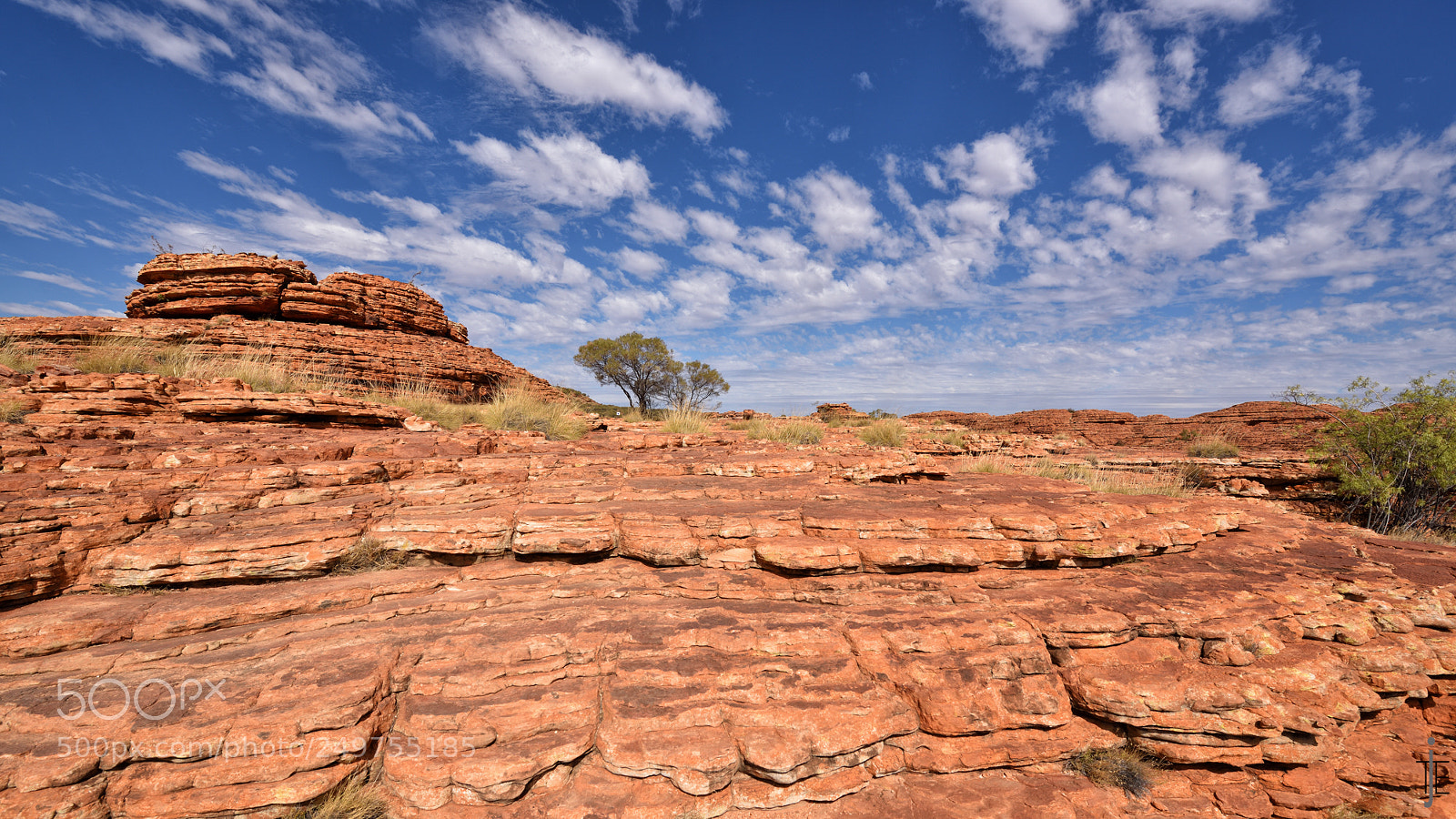 Nikon D810 sample photo. Australia photography