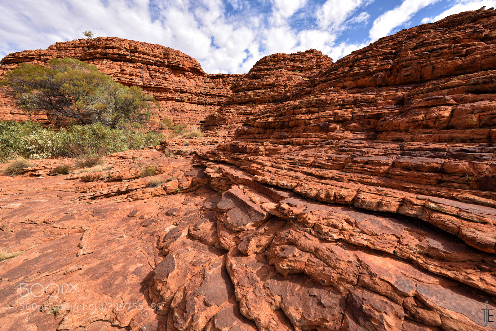 Nikon D810 sample photo. Australia photography