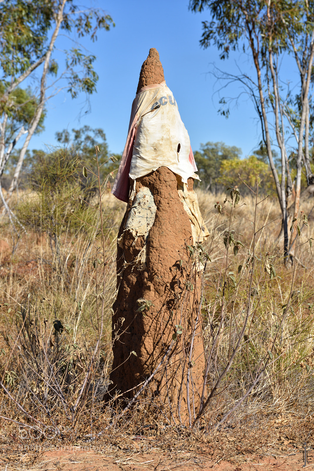 Nikon D810 sample photo. Australia photography