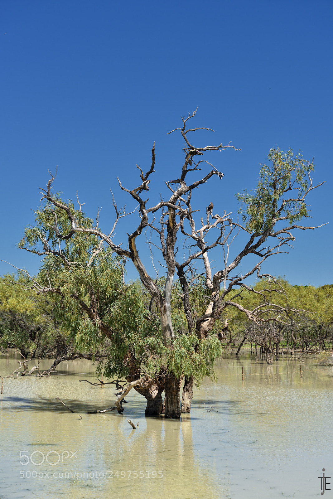 Nikon D810 sample photo. Australia photography