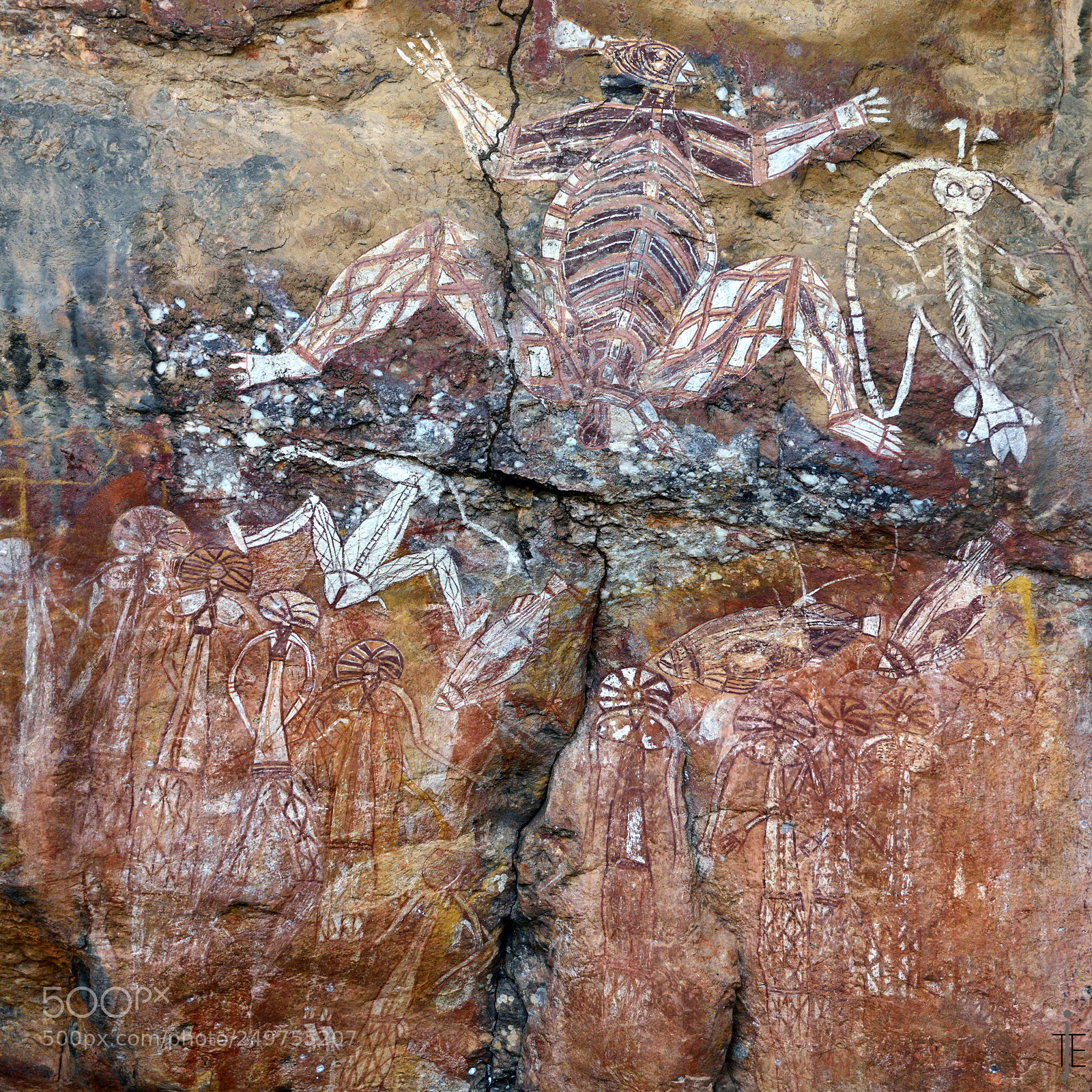 Nikon D810 sample photo. Australia photography