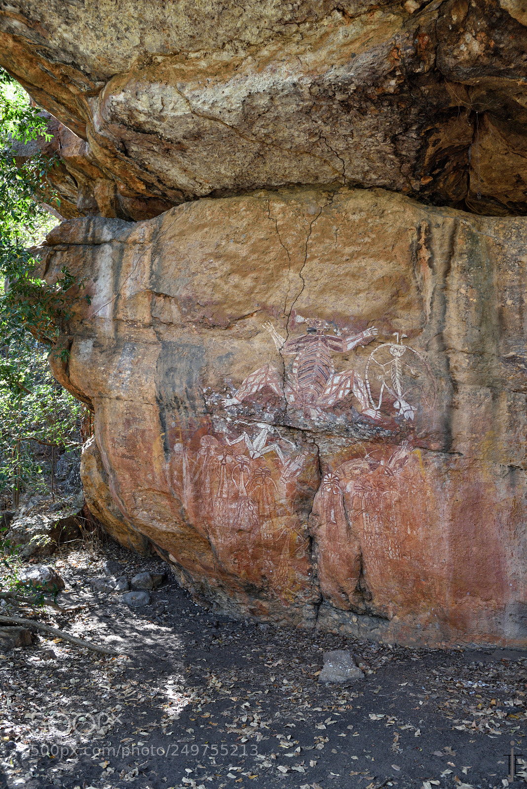 Nikon D810 sample photo. Australia photography