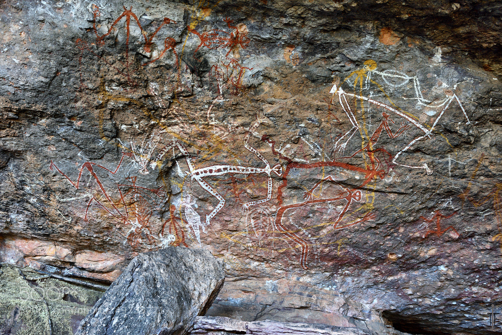 Nikon D810 sample photo. Australia photography