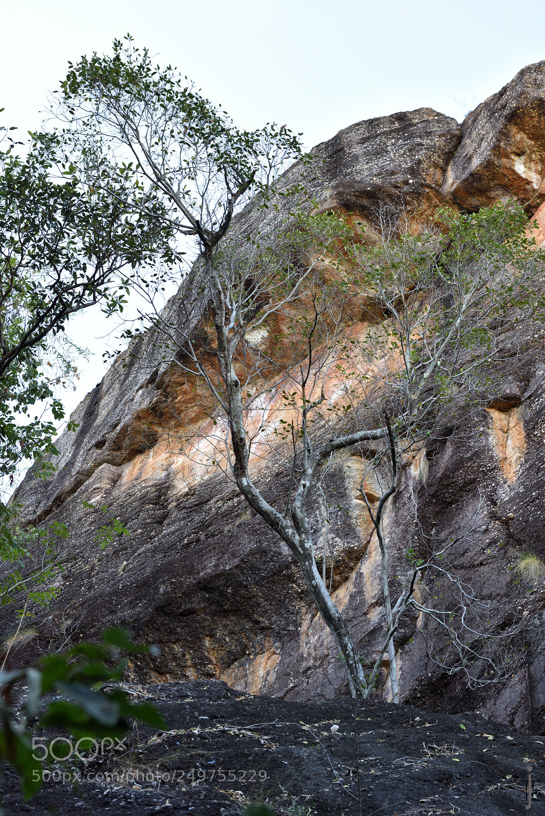 Nikon D810 sample photo. Australia photography