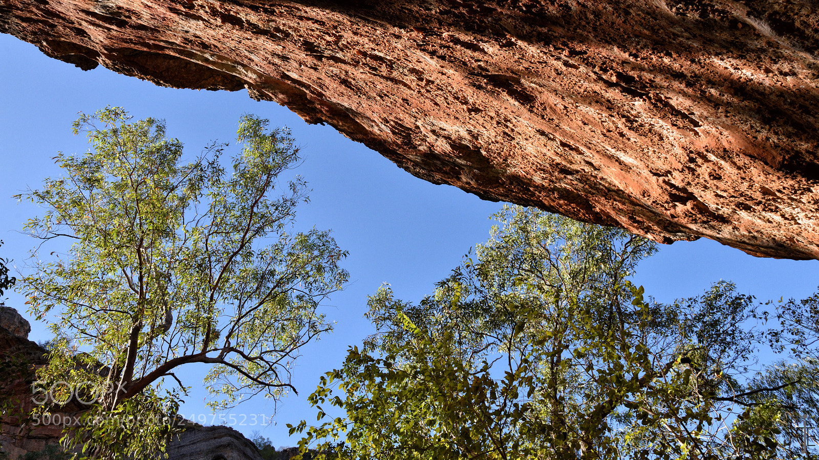 Nikon D810 sample photo. Australia photography