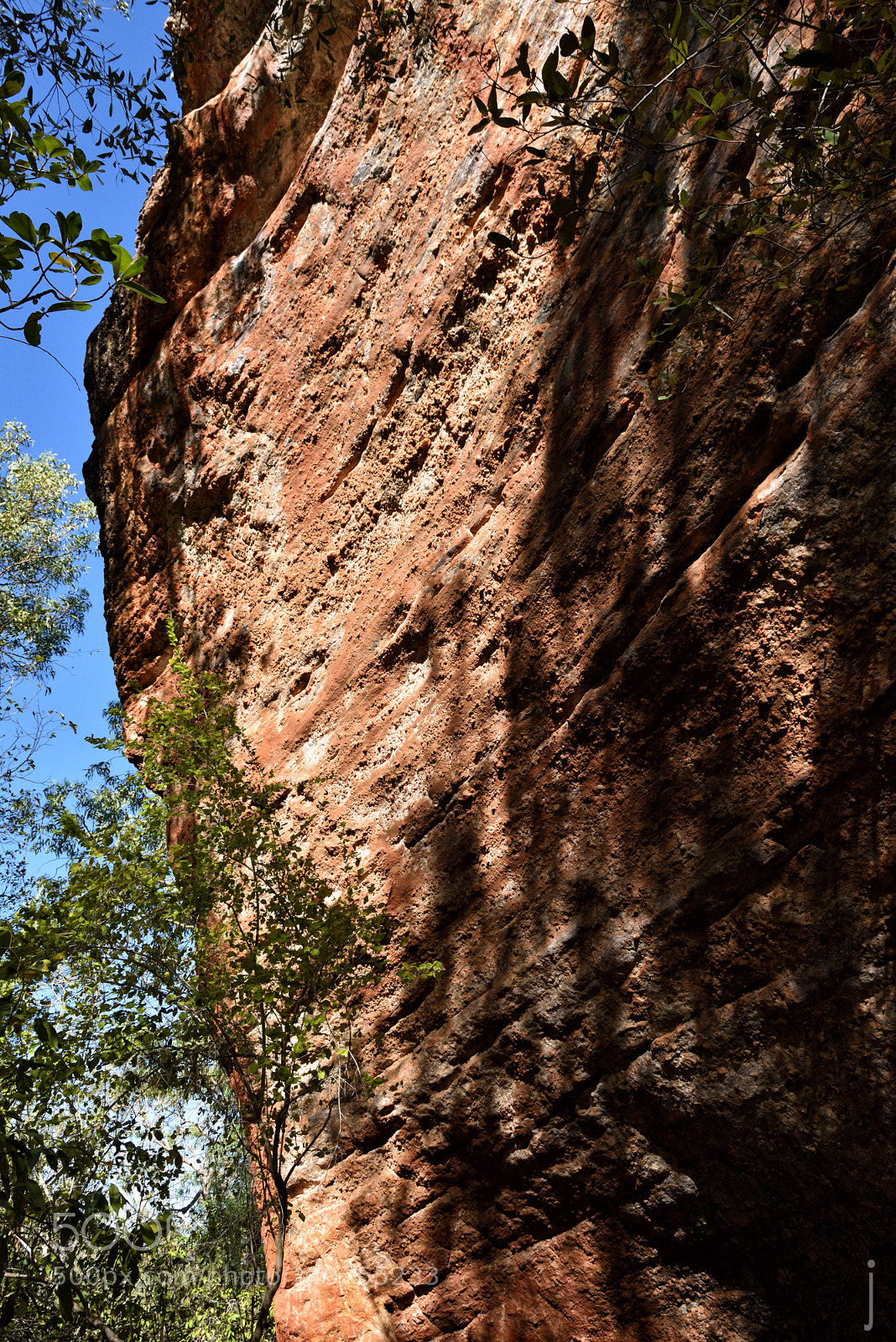 Nikon D810 sample photo. Australia photography