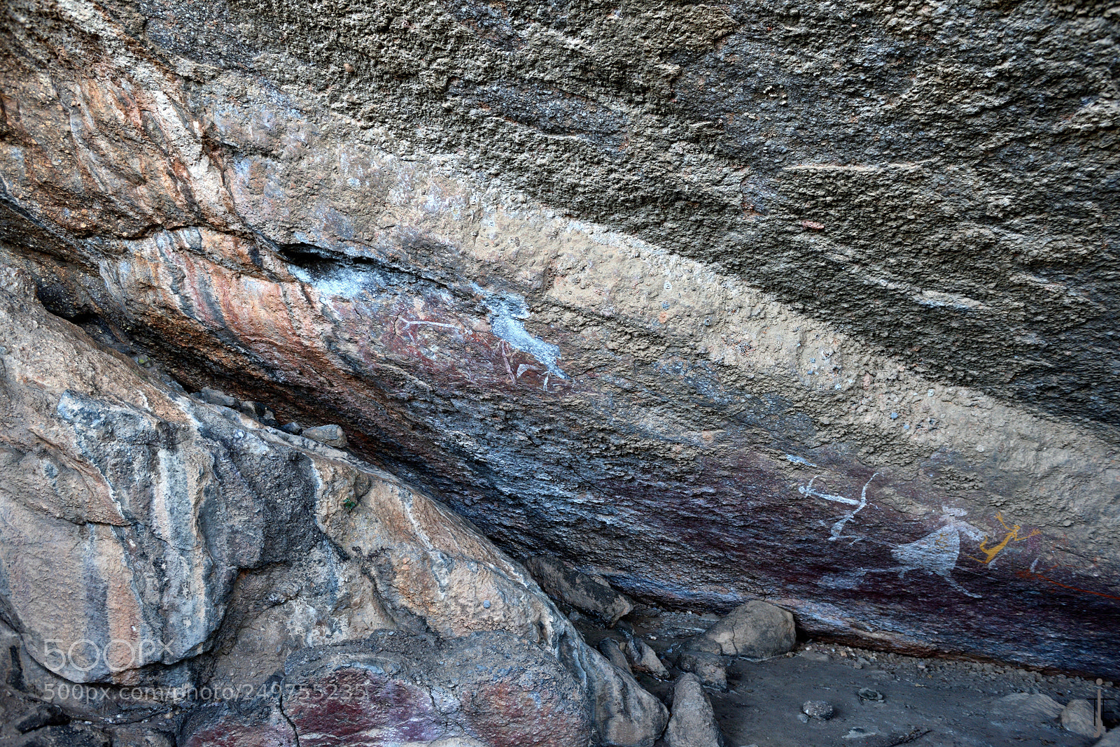 Nikon D810 sample photo. Australia photography