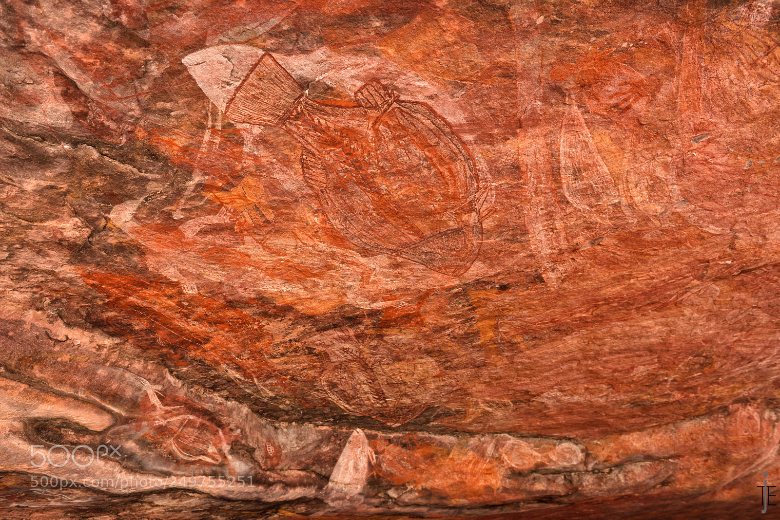 Nikon D810 sample photo. Australia photography