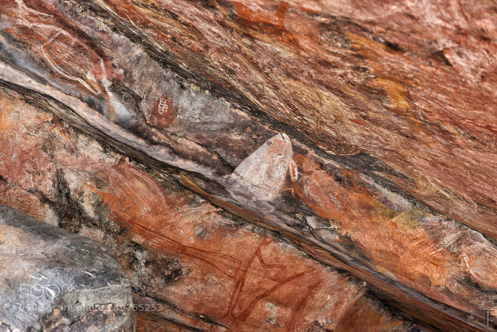 Nikon D810 sample photo. Australia photography