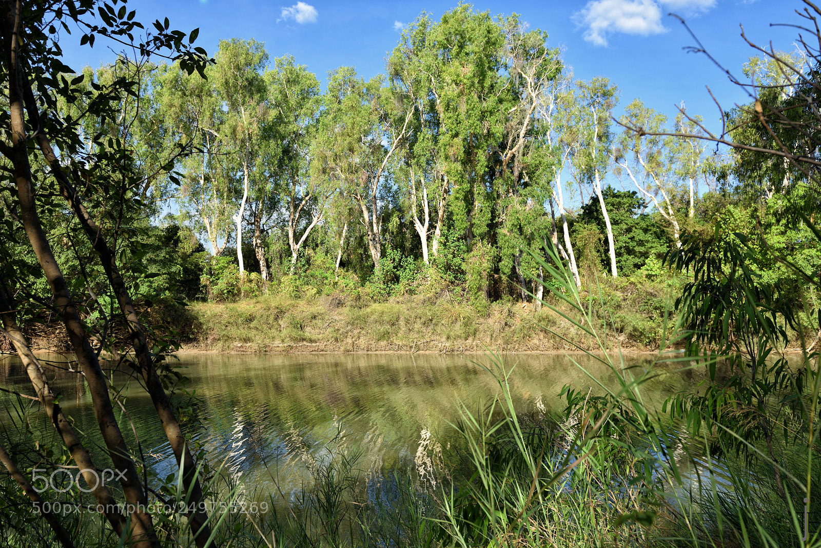 Nikon D810 sample photo. Australia photography