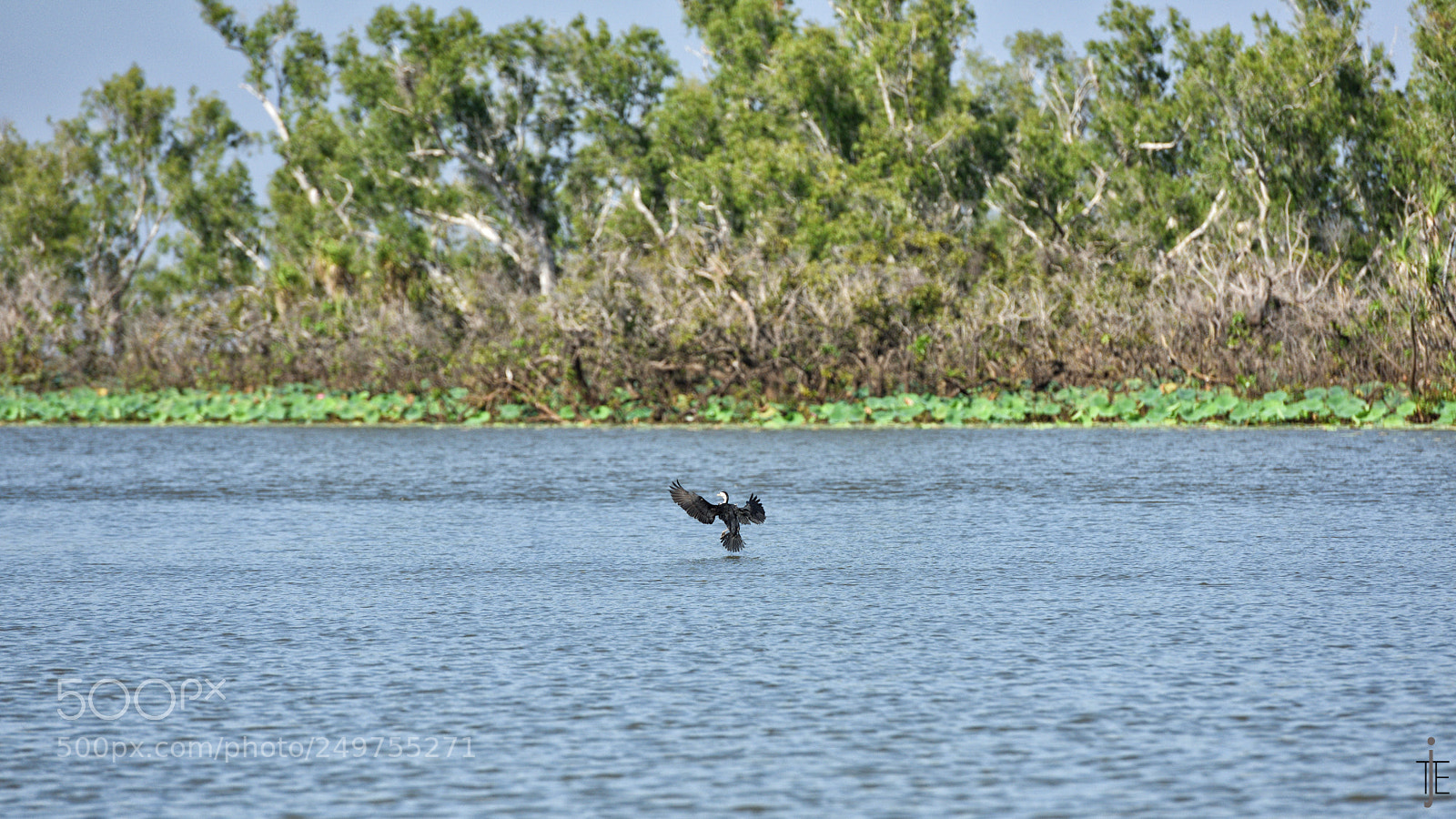 Nikon D810 sample photo. Australia photography