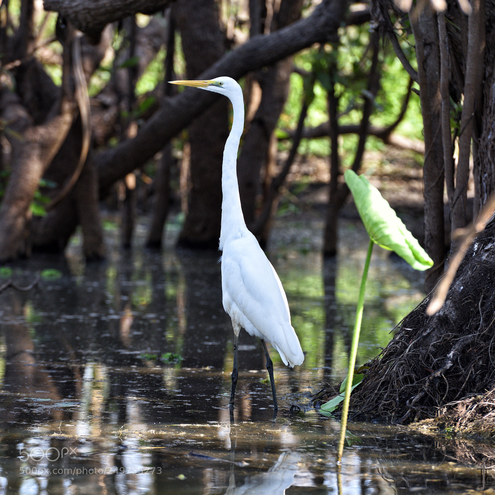 Nikon D810 sample photo. Australia photography