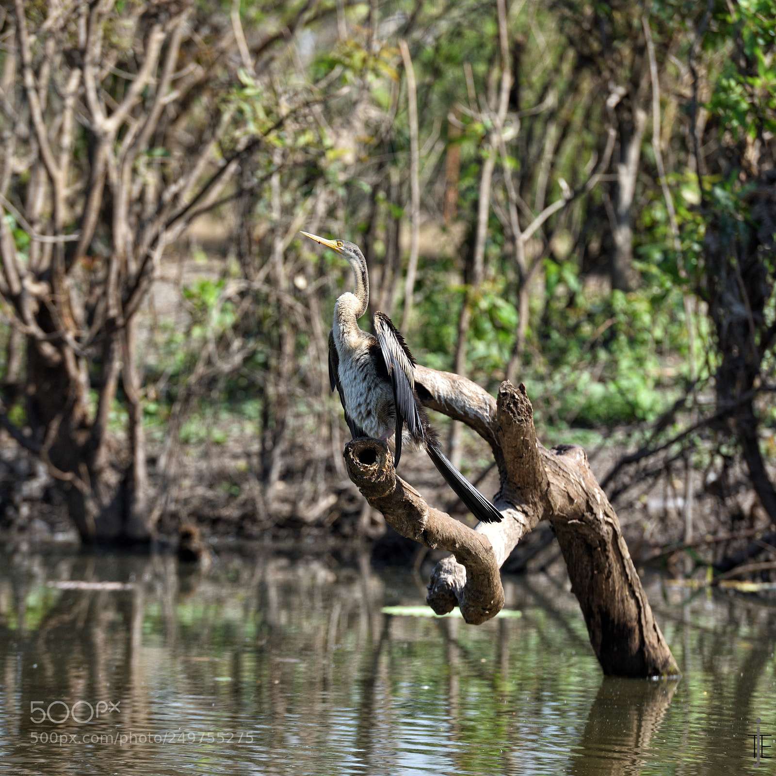 Nikon D810 sample photo. Australia photography