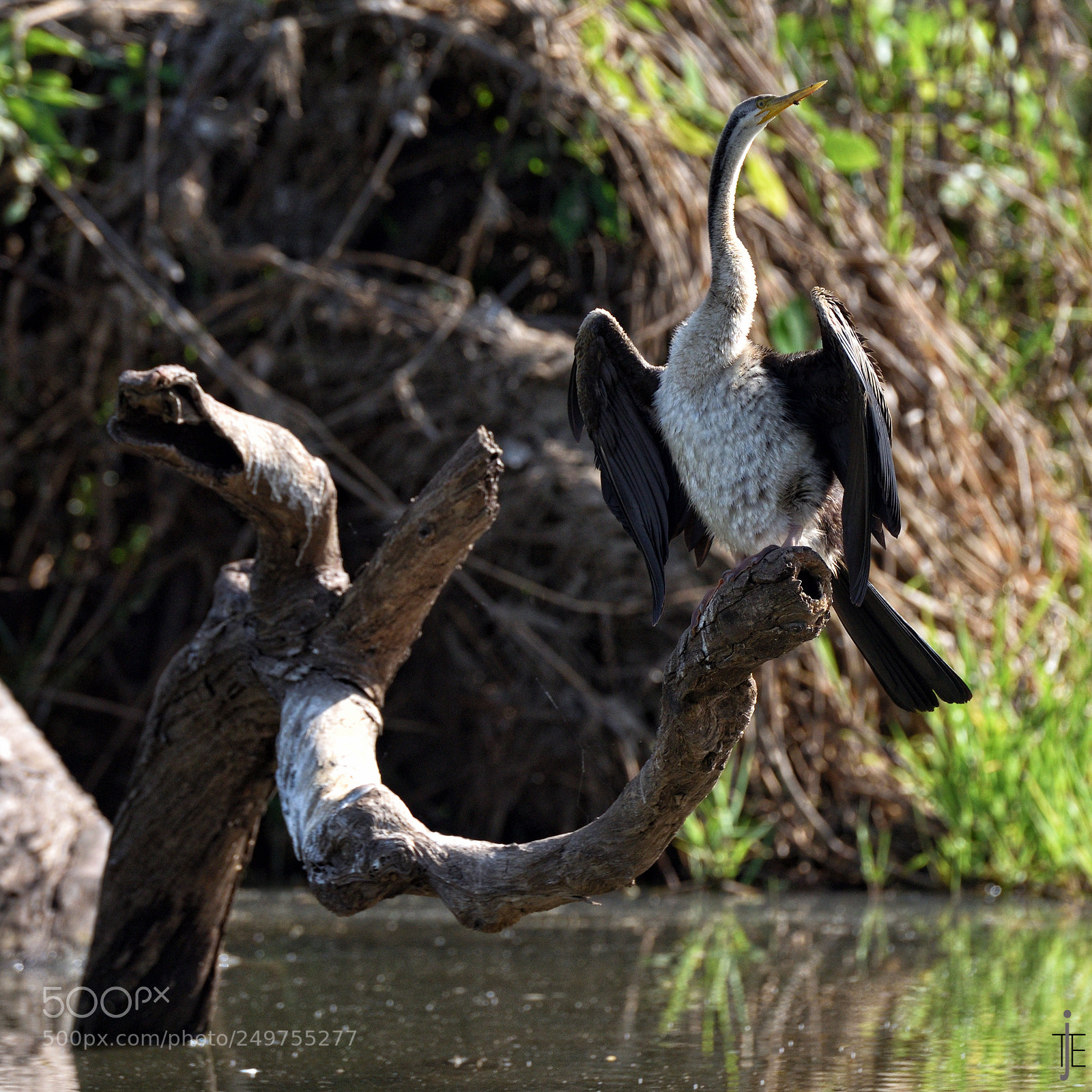 Nikon D810 sample photo. Australia photography