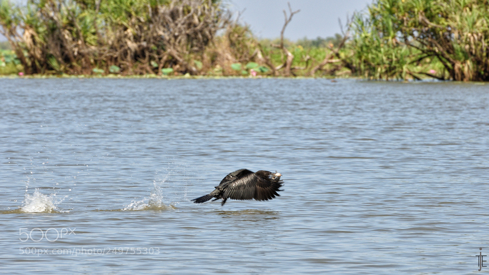 Nikon D810 sample photo. Australia photography