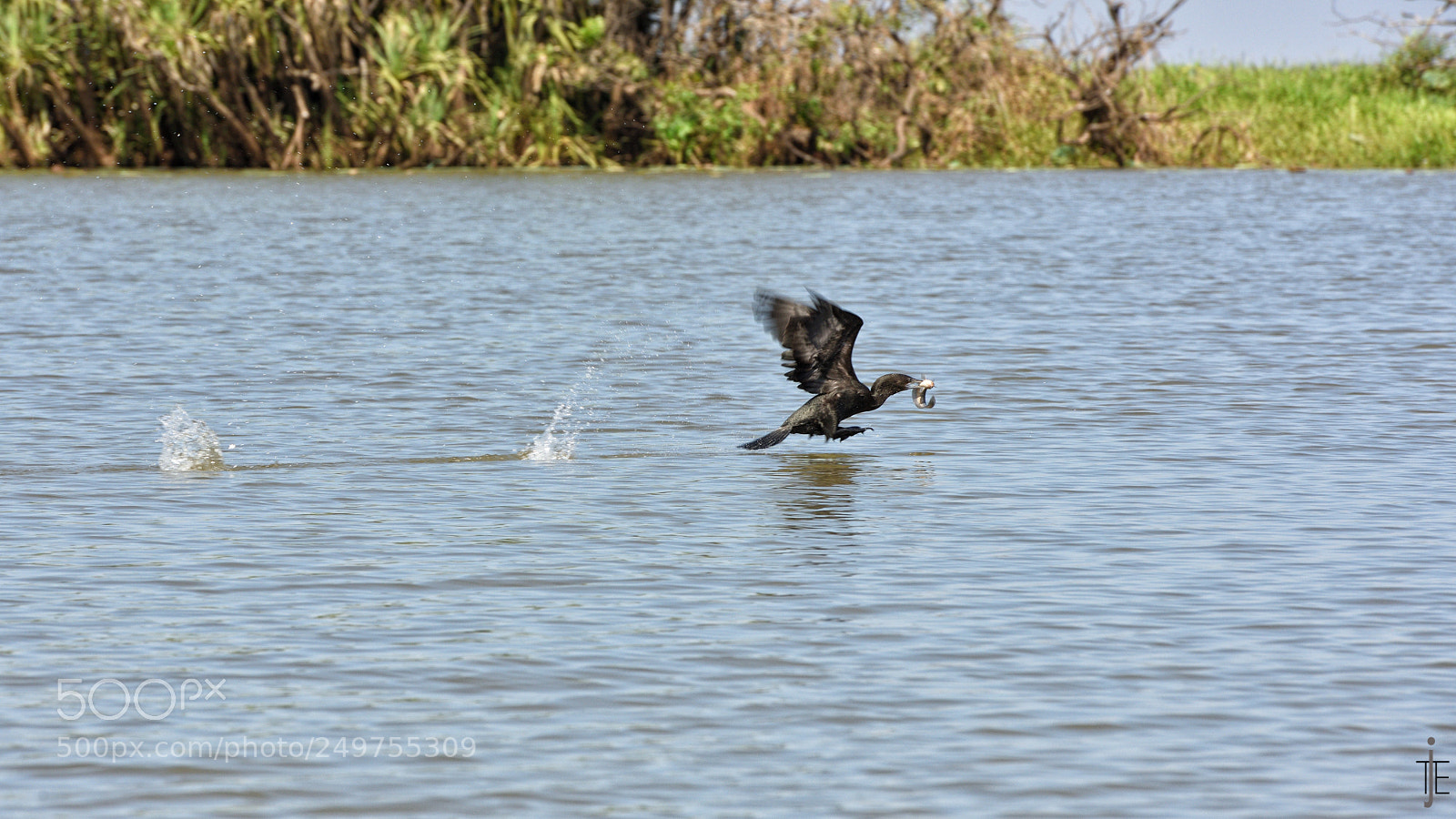 Nikon D810 sample photo. Australia photography