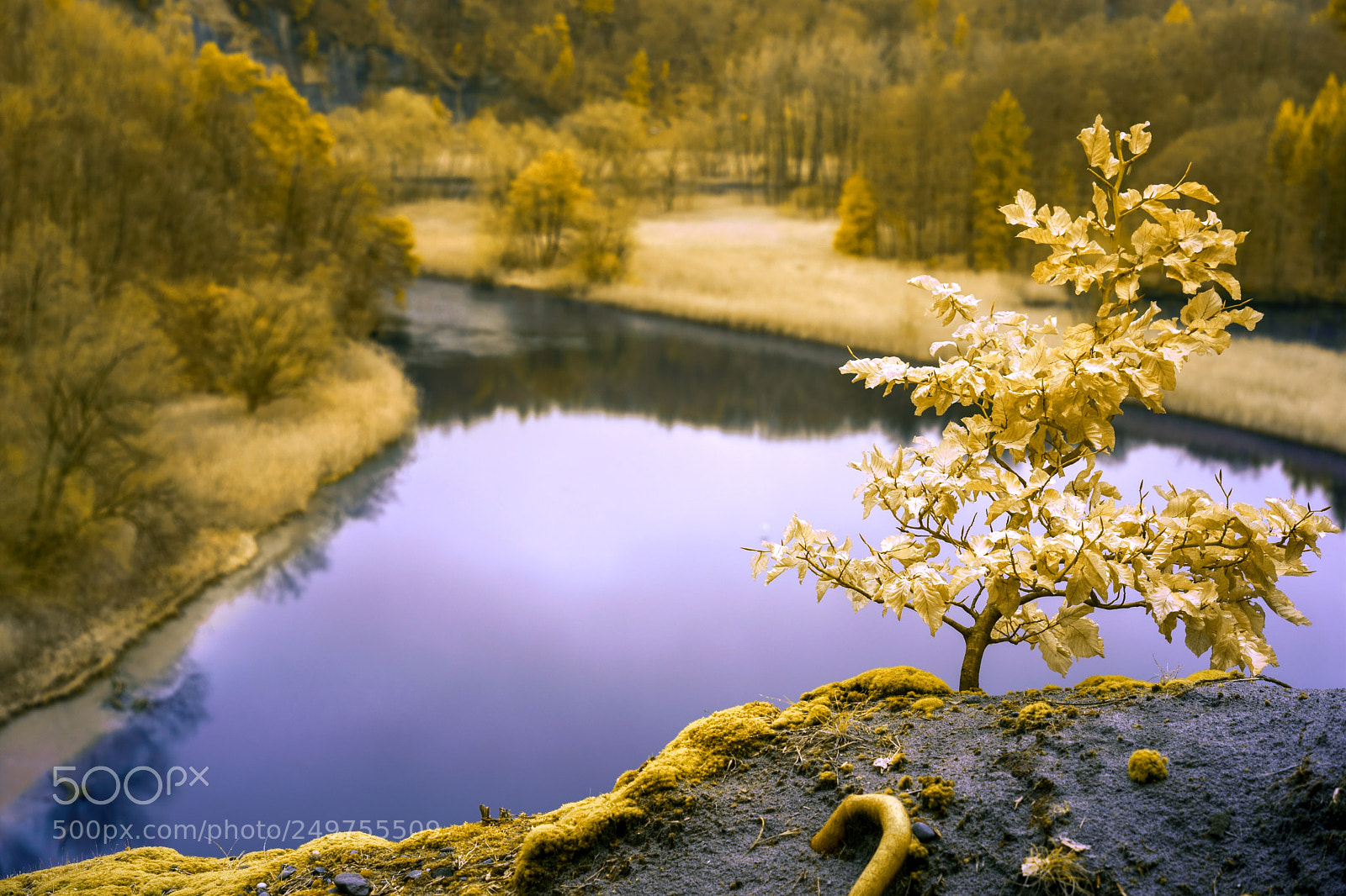 Sony a7 sample photo. Lac de p rolles photography