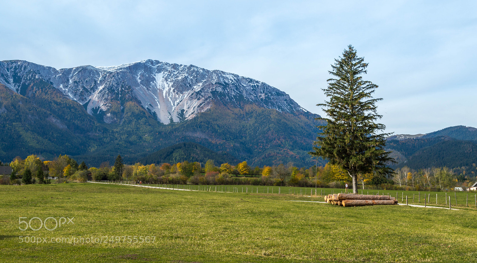 Nikon D3200 sample photo. Autumn begins photography