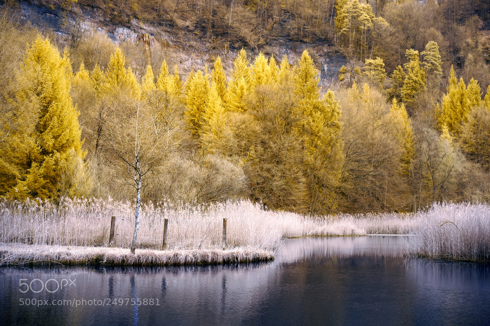 Sony a7 sample photo. Infrared world photography