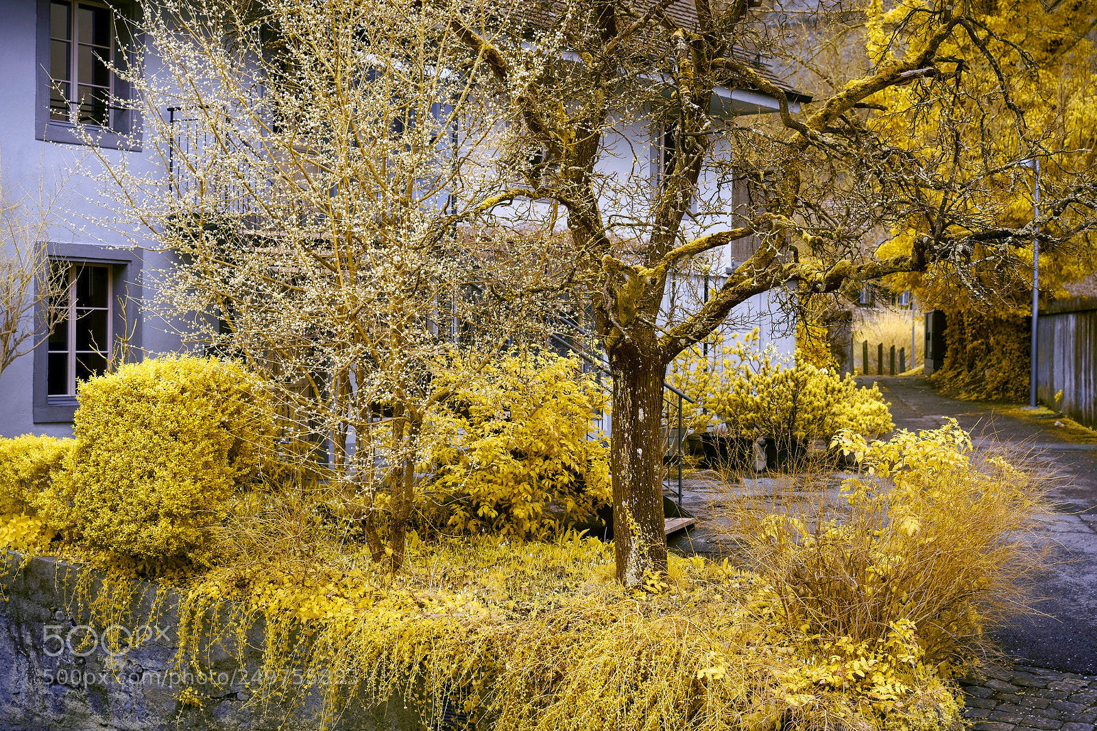 Sony a7 sample photo. Infrared world photography
