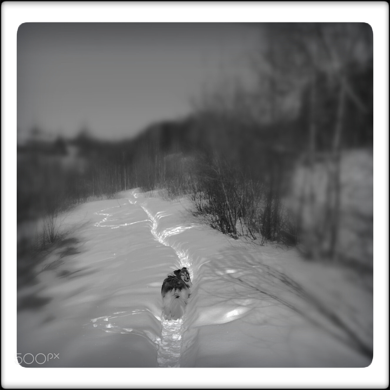 HUAWEI Mate 10 Lite sample photo. Snowy trip photography