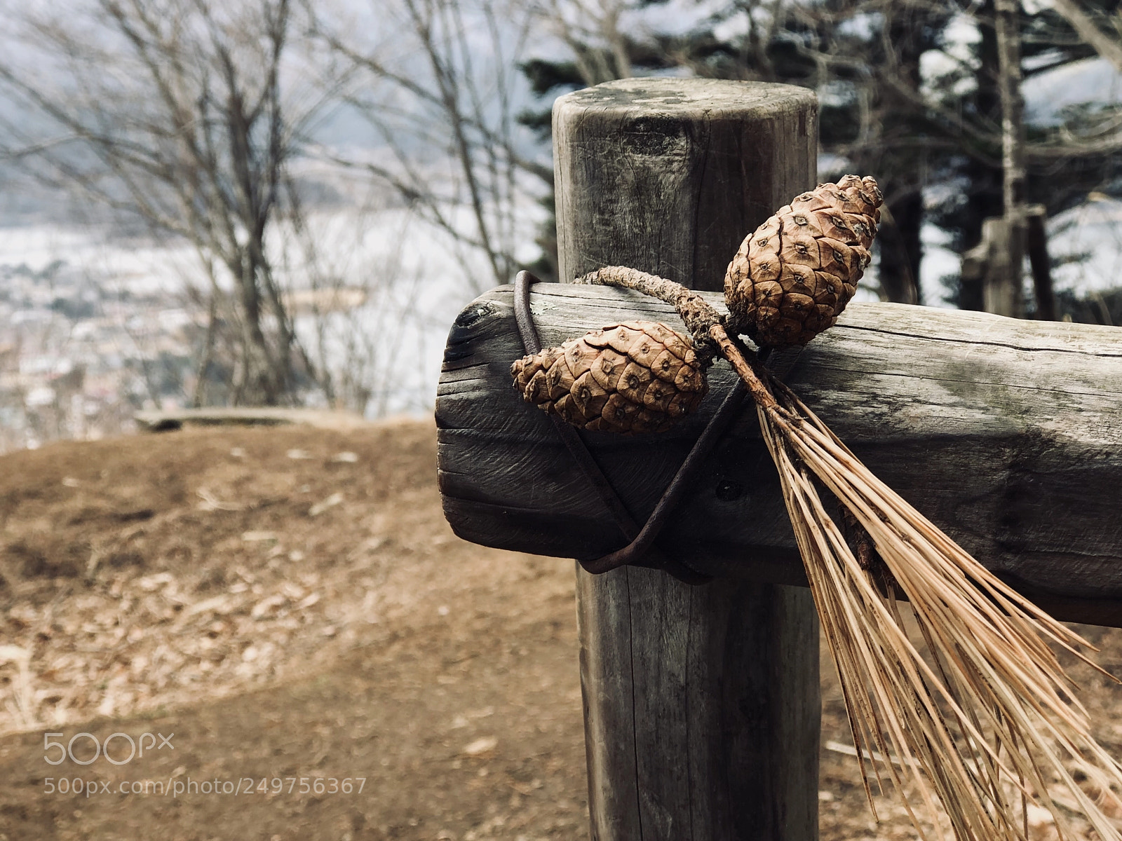 Apple iPhone 8 Plus sample photo. Love to get locked photography