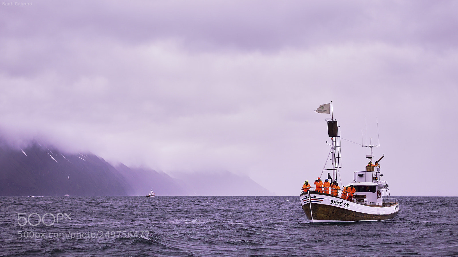 Sony a6000 sample photo. Whale watching from h photography