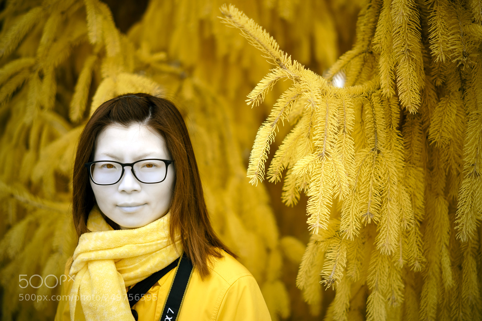 Sony a7 sample photo. Yellow photography