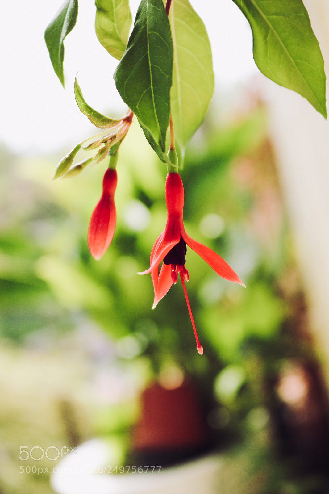 Canon EOS 750D (EOS Rebel T6i / EOS Kiss X8i) sample photo. Hanging into the ground photography