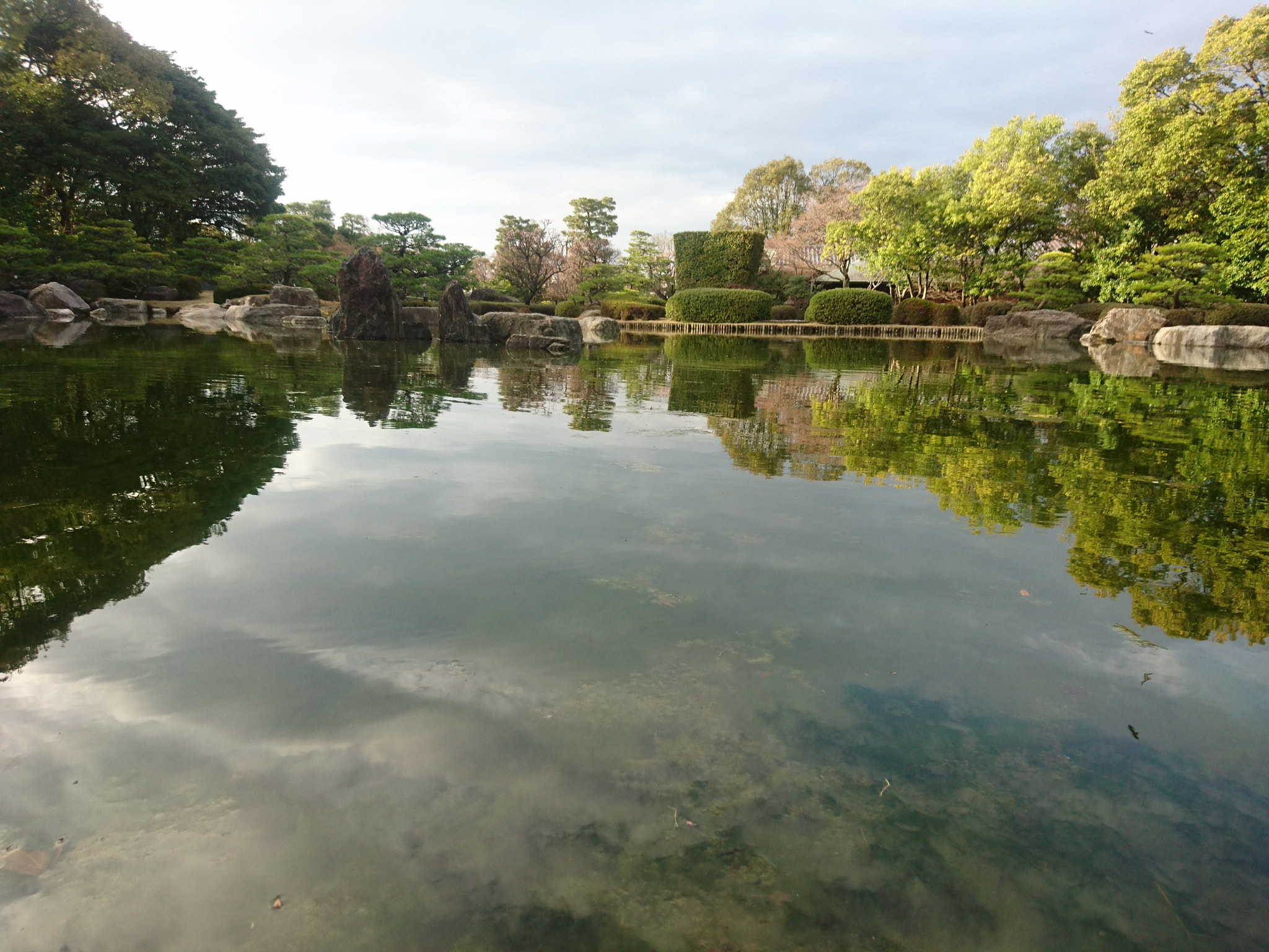 Sony Xperia Z5 sample photo. Reflection photography