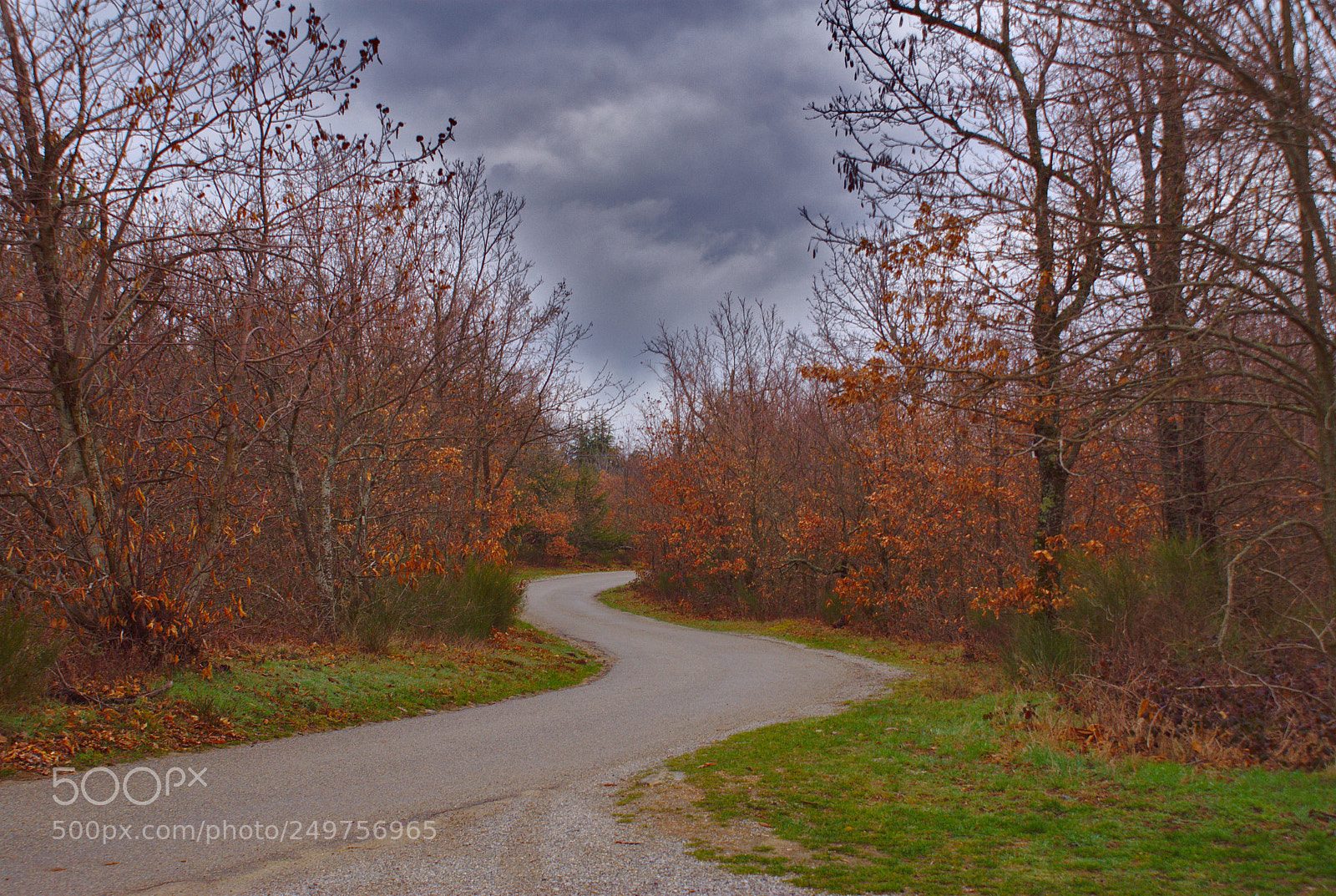Sony DT 18-70mm F3.5-5.6 sample photo. Route automnale photography