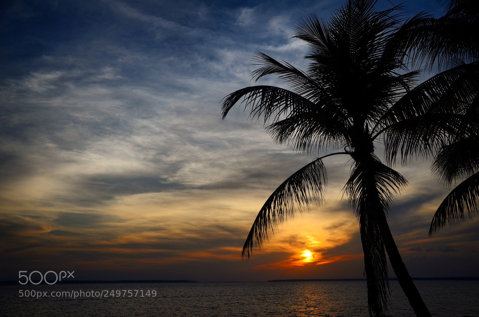 Nikon D7000 sample photo. Sunset ?amazon . brazil photography