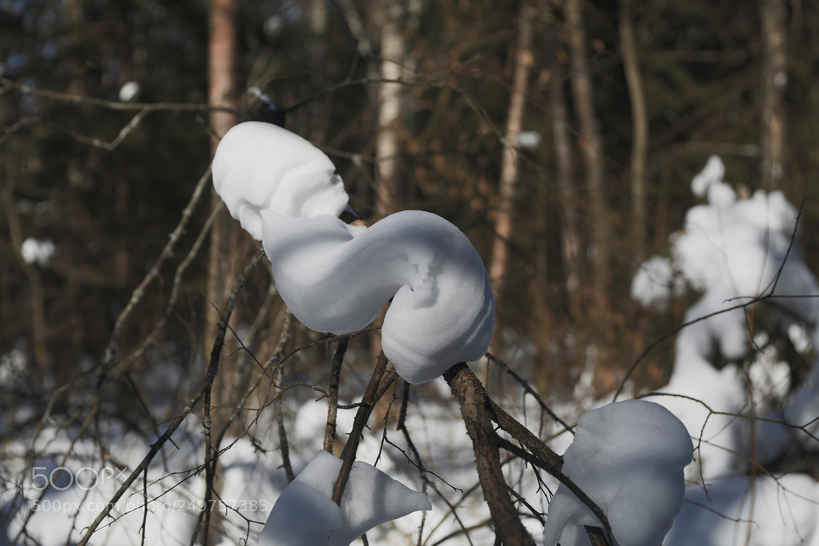Canon EF 24-70mm F2.8L II USM sample photo. Winters twist photography