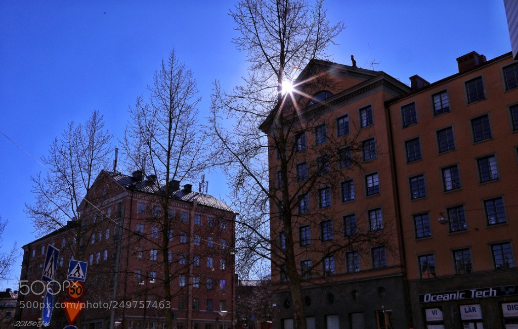 Canon EOS 5D Mark IV sample photo. A suny day of photography