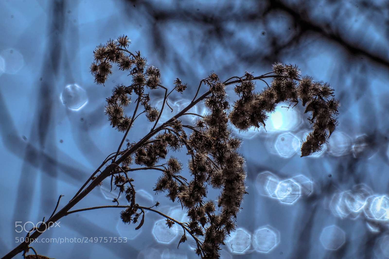 Fujifilm X-E1 sample photo. Against the river photography