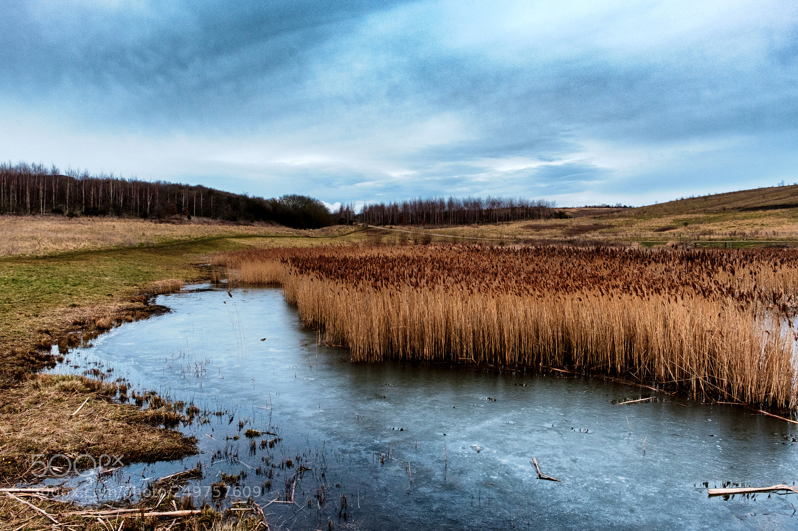 Fujifilm X-T2 sample photo. Gedling country park photography