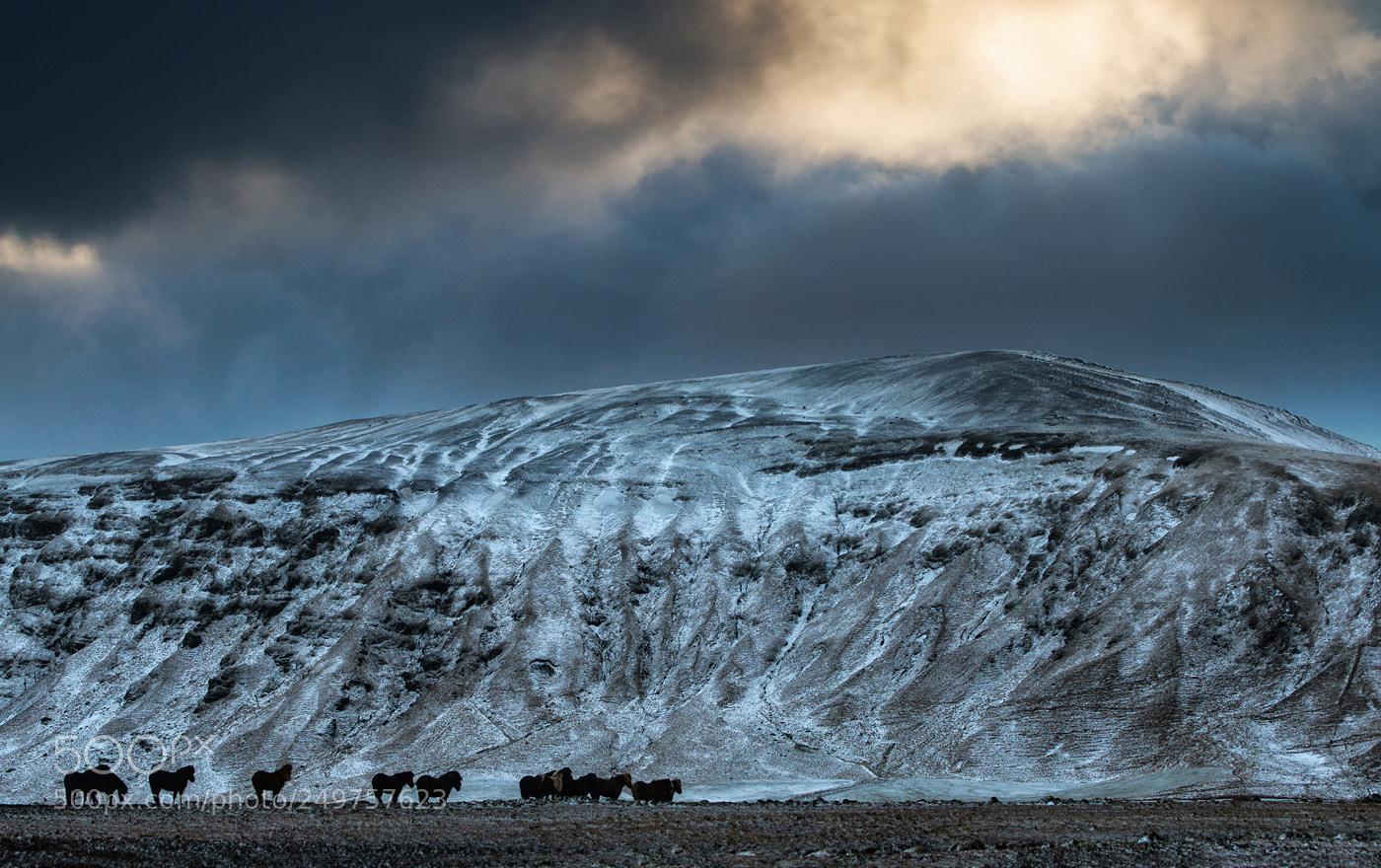 Nikon D800 sample photo. [ iceland ] photography