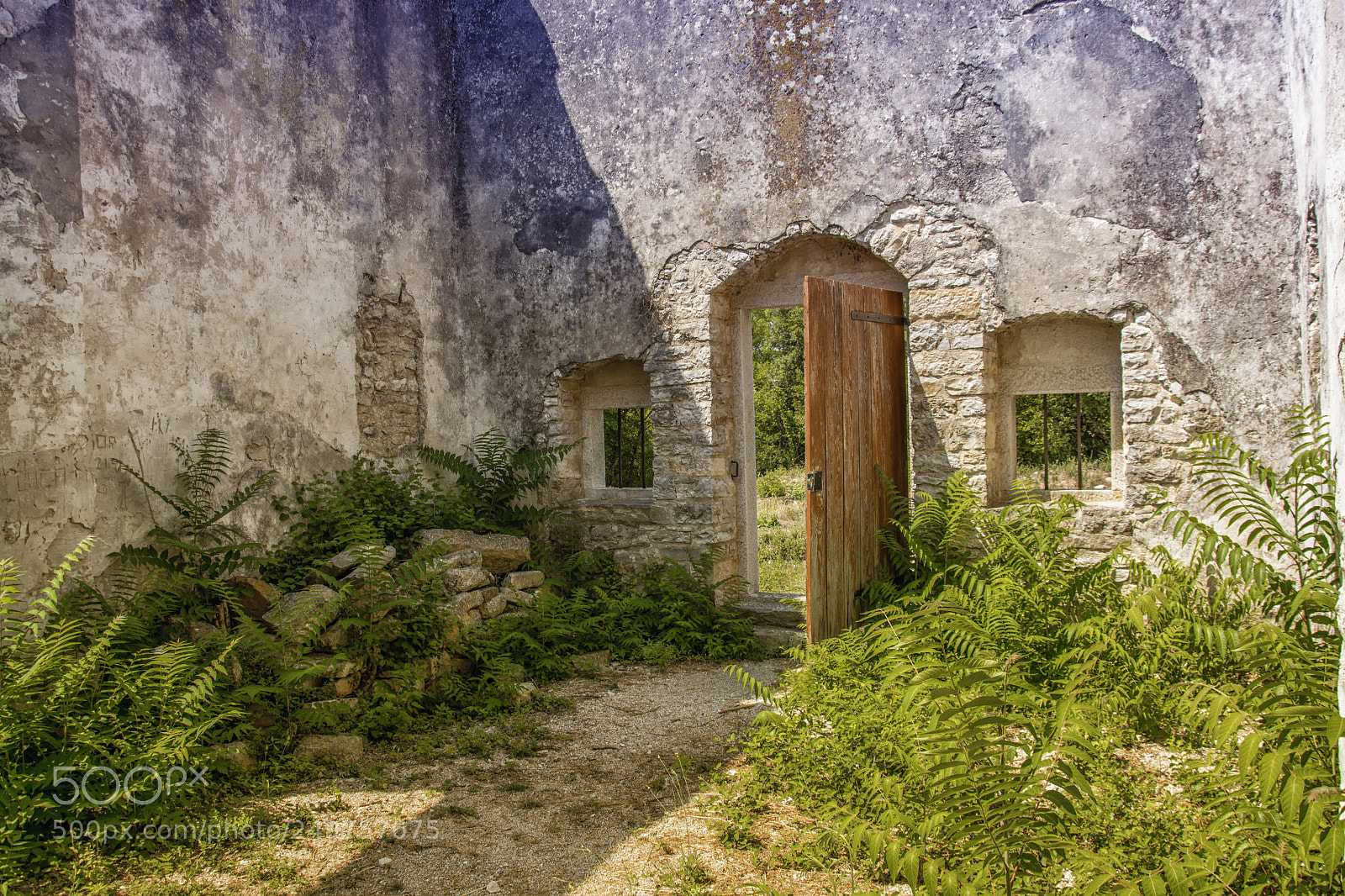 Nikon D5200 sample photo. Entrance of a ruin photography