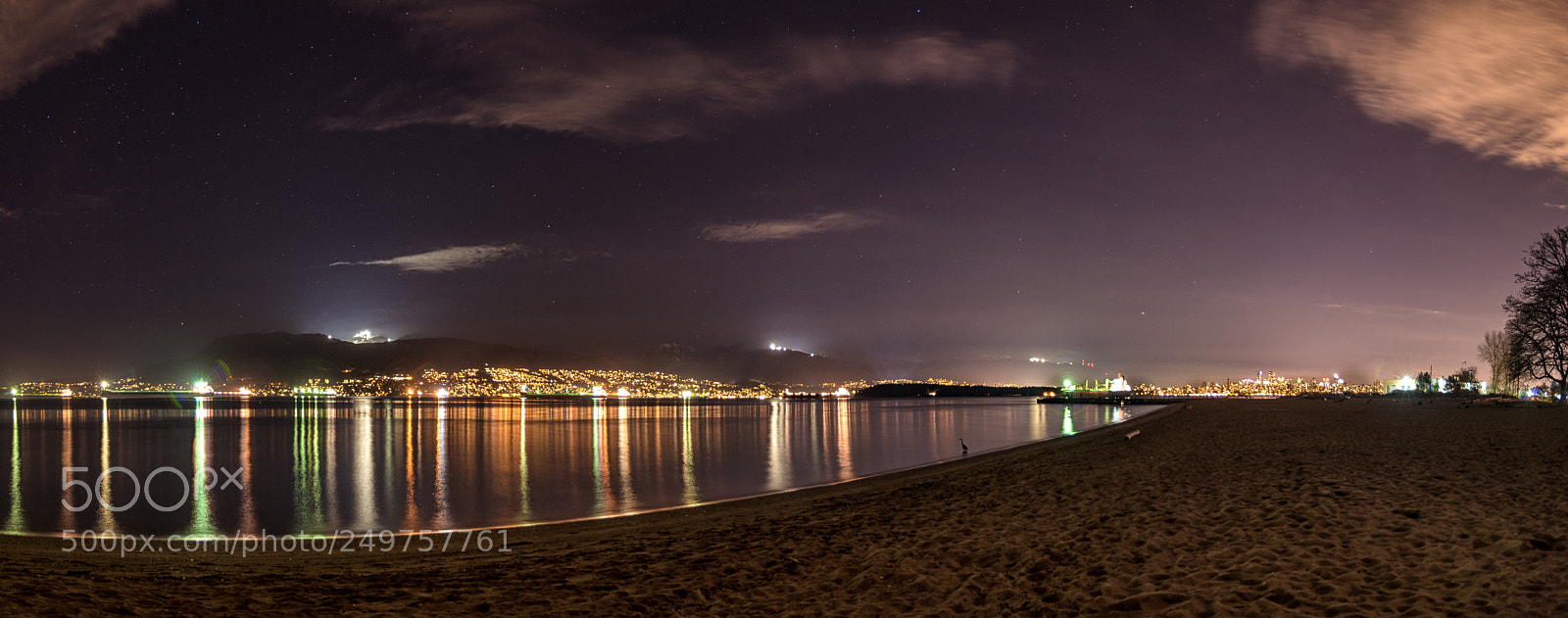 Nikon D600 sample photo. Vancouver at night photography