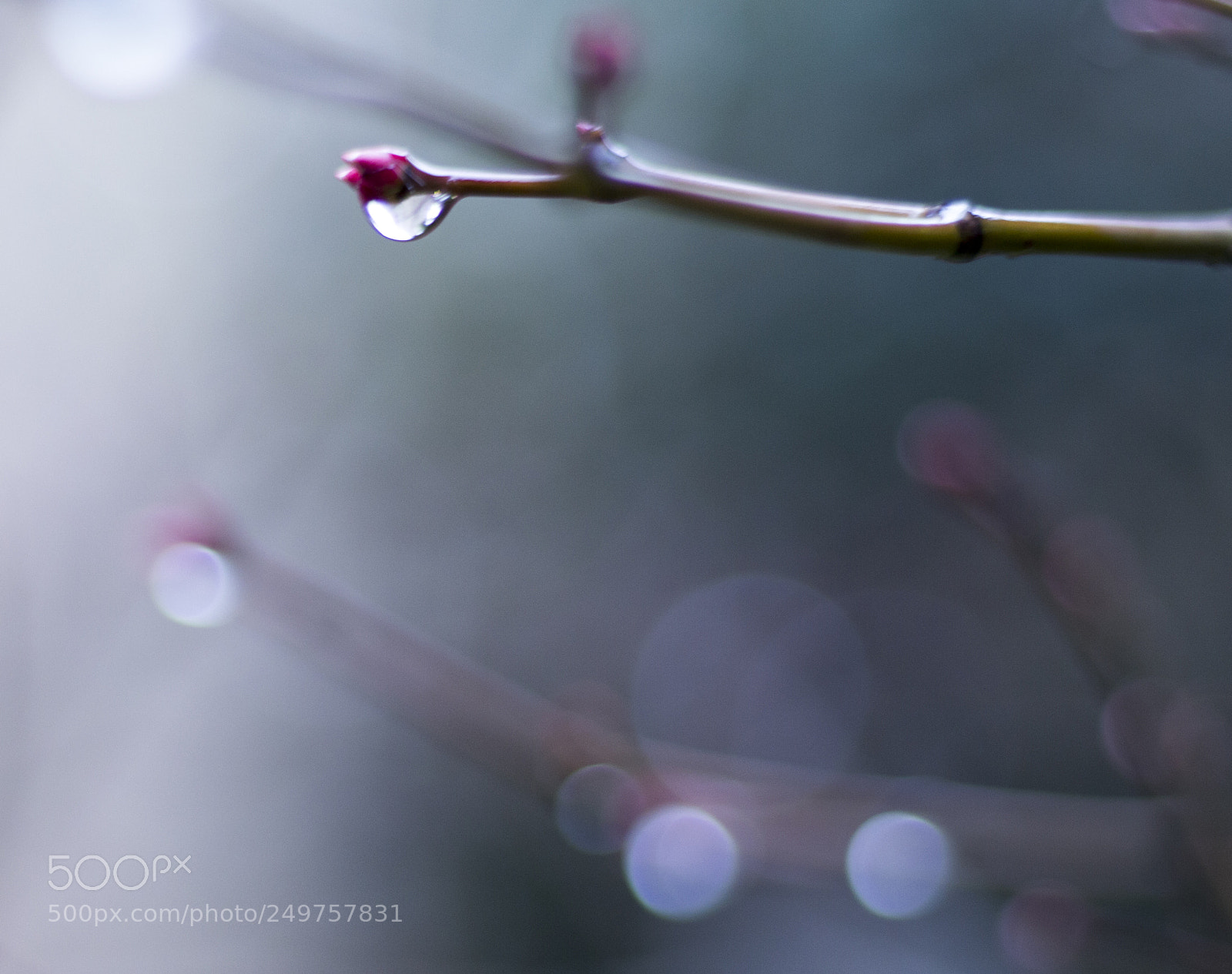 Canon EOS 700D (EOS Rebel T5i / EOS Kiss X7i) sample photo. Raindrop photography
