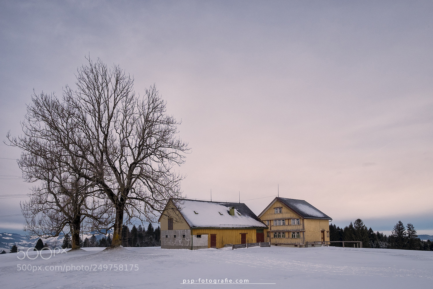 Fujifilm X-T10 sample photo. ... winterlandscape ... photography