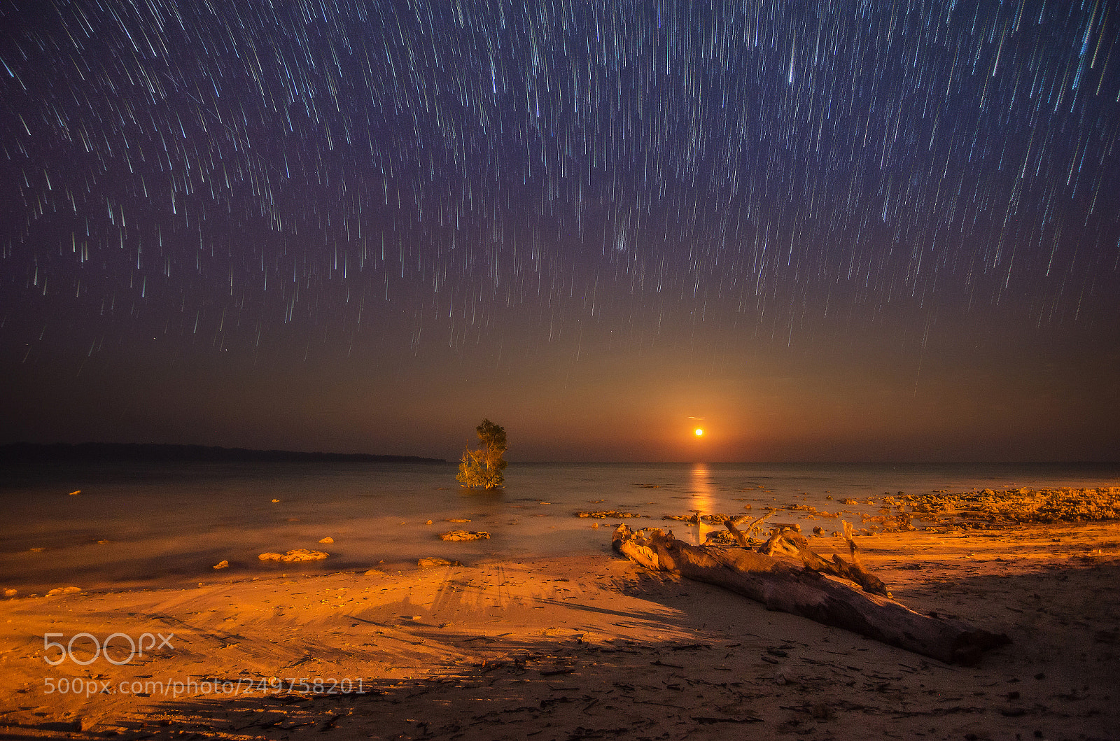 Nikon D5100 sample photo. Moonrise photography